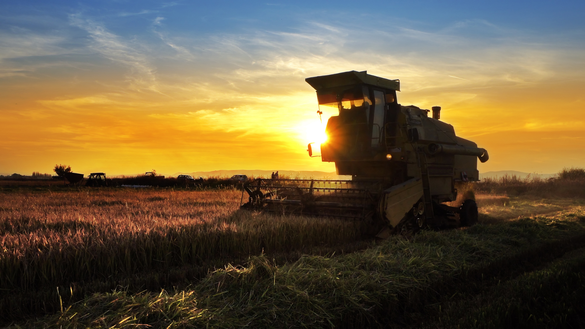 Polo Regional de Inovação no Agro será lançado em Toledo
